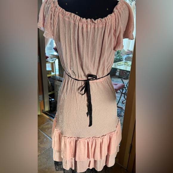 Elegant Silk Velvet Pink Ruffled Dress - Picture 6 of 12